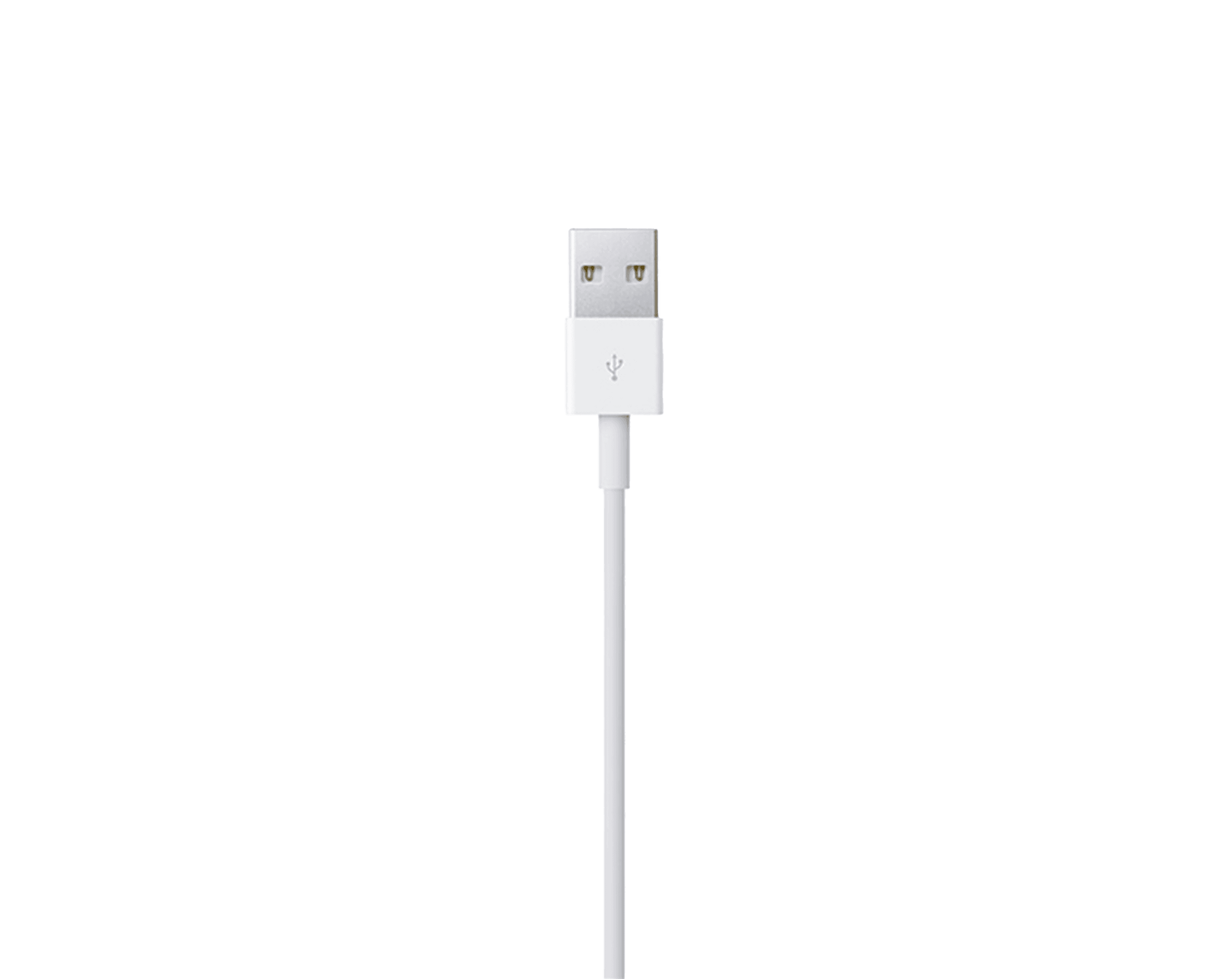 Cable-Apple-Lightning-a-USB-(2-m)_position02.png