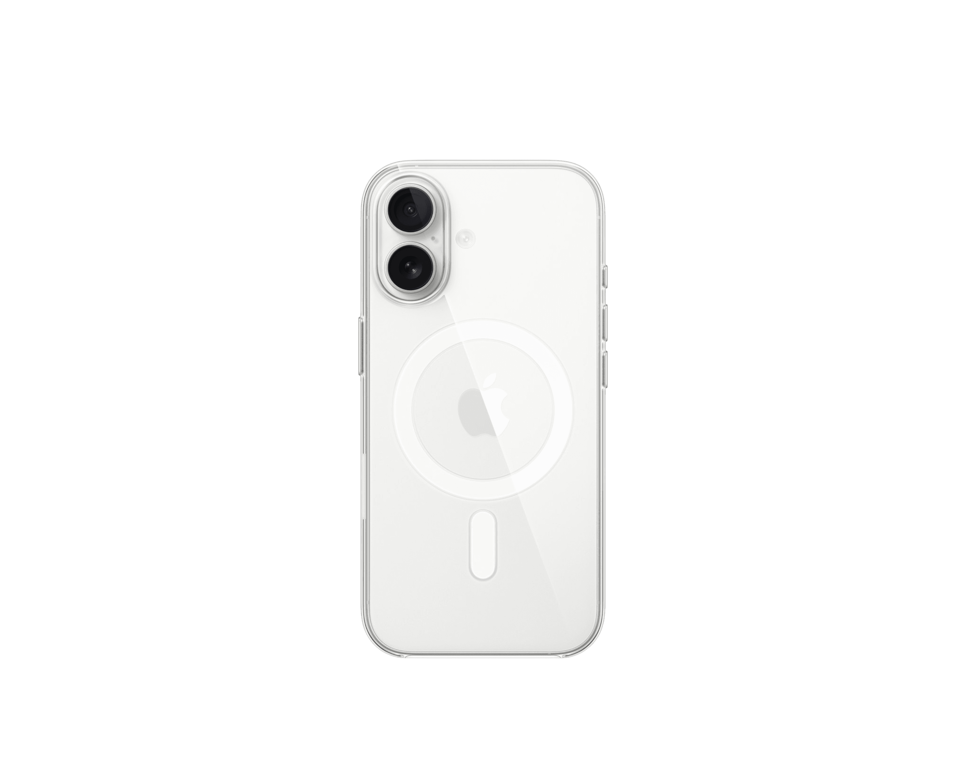 17 Transparente 1 (1).png