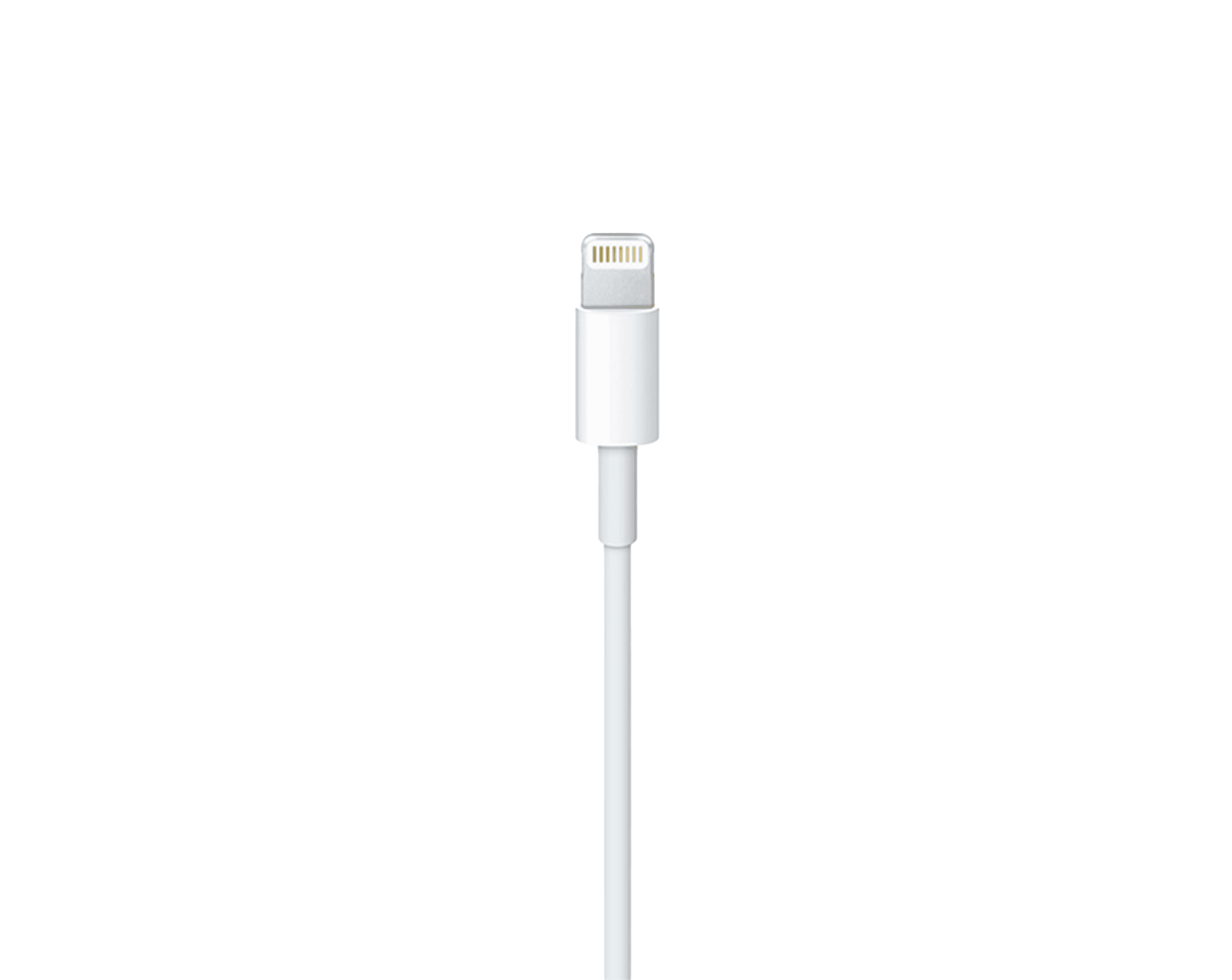 Cable-Apple-Lightning-a-USB-(2-m)_position03.png